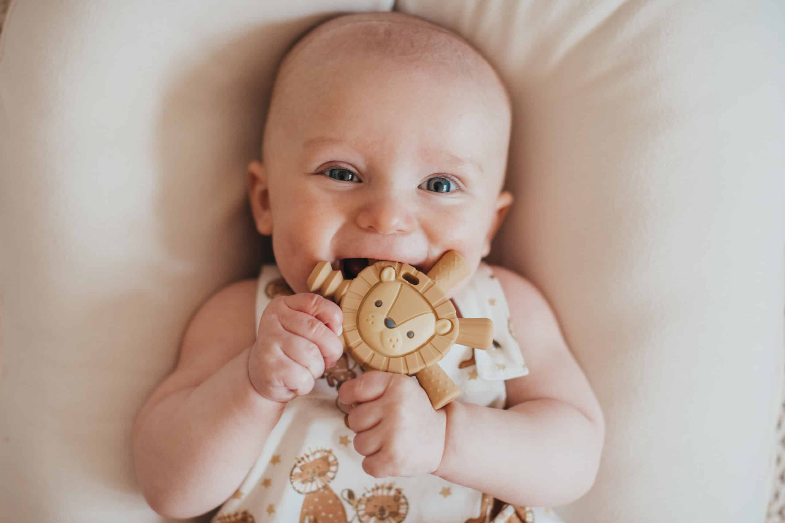 Itzy Ritzy - Ritzy Teether Reaches Back Molars and Massages Sore Gums; Features Multiple Textures and Flexible Design; Elephant Bunny Lion